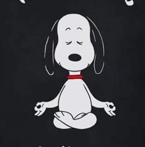 Meet your Posher, Sally